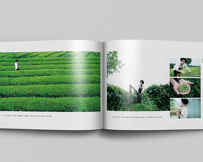 一亩茶园画册创意设计